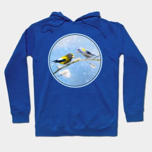 Evening Grosbeak Hoodie